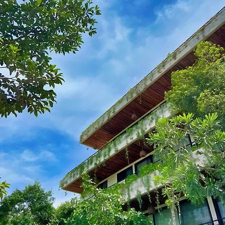 Etnica Ku - Tulum Jungle Paradise Exterior photo